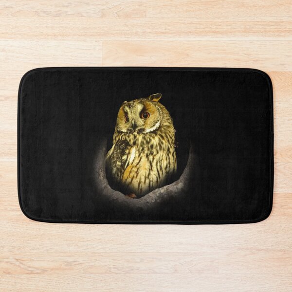 Item preview, Long-eared owl designed and sold by Guardi71.