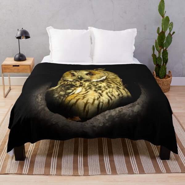 Item preview, Long-eared owl designed and sold by Guardi71.