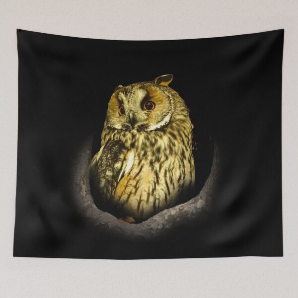 Item preview, Long-eared owl designed and sold by Guardi71.