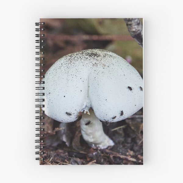 Item preview, Curvaceous Mushroom designed and sold by Eidetic Photos.