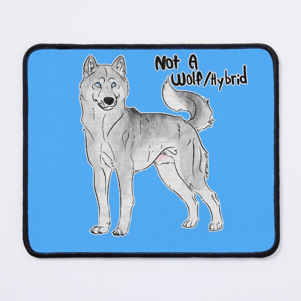 Artikelvorschau, Kein Wolf/Hybrid - Grau-weißer Siberian Husky entworfen und verkauft von Sparklepupfaeri.