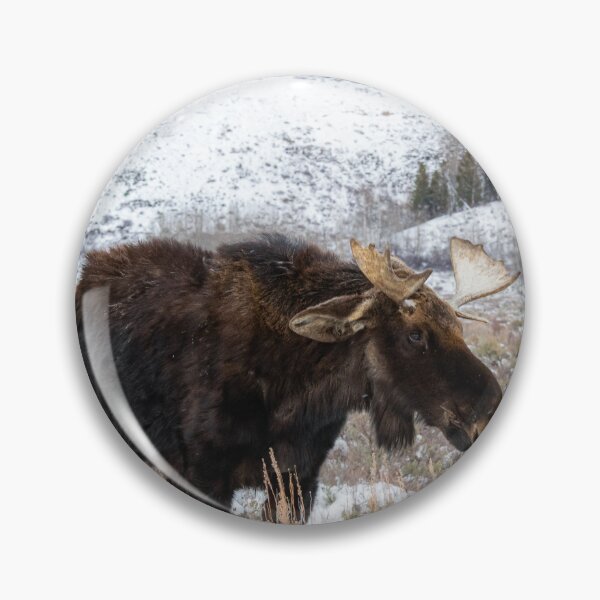 Item preview, moose designed and sold by The Artful Finch.
