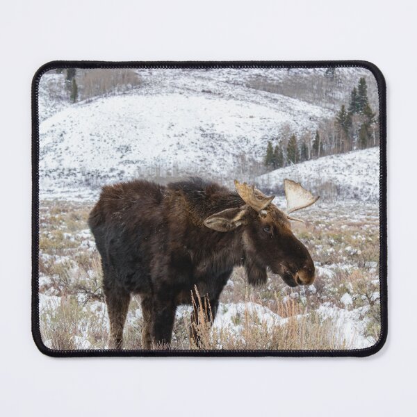 Item preview, moose designed and sold by The Artful Finch.