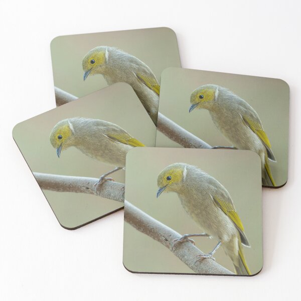 Item preview, White Plumed Honeyeater designed and sold by Nick Vertsonis.