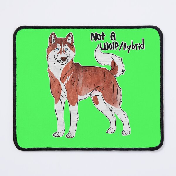 Artikelvorschau, Kein Wolf/Hybrid - Rot-Weißer Siberian Husky entworfen und verkauft von Sparklepupfaeri.