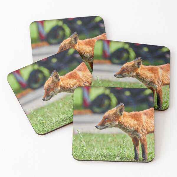 Item preview, Urban Fox II designed and sold by Eidetic Photos.
