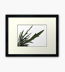 Spike Framed Print