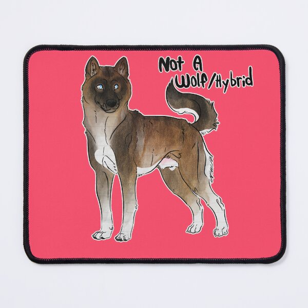 Artikelvorschau, Kein Wolf/Hybrid – Agouti Siberian Husky entworfen und verkauft von Sparklepupfaeri.