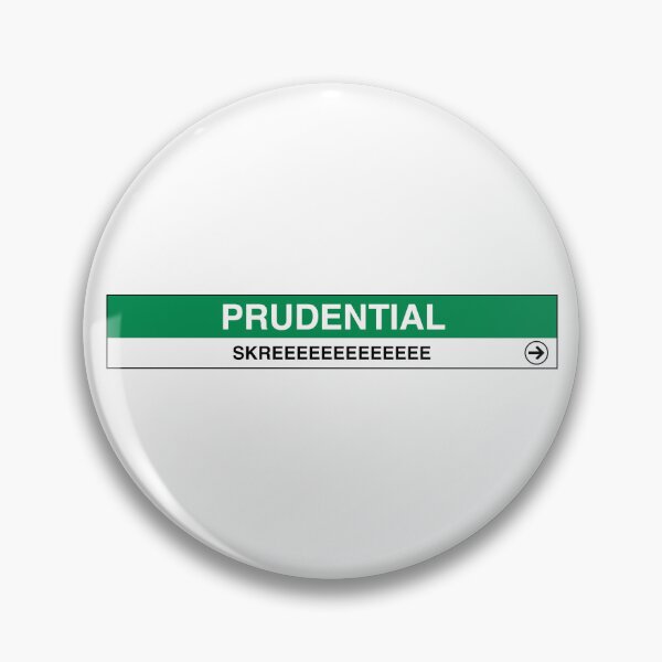 Item preview, Prudential Station screech designed and sold by kileybates.