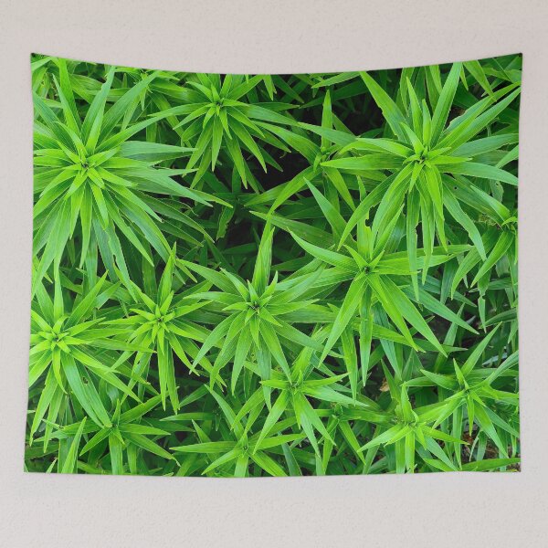 Item preview, Before the Bloom designed and sold by bjtomiko.