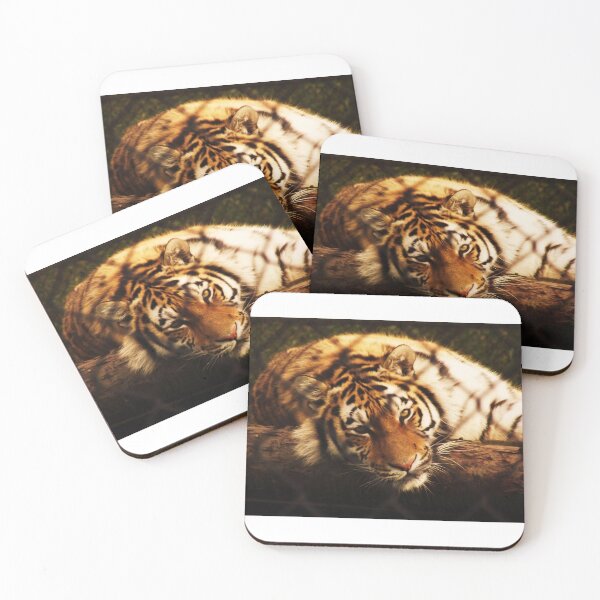 Item preview, Tiger in captivity designed and sold by TheFOL.