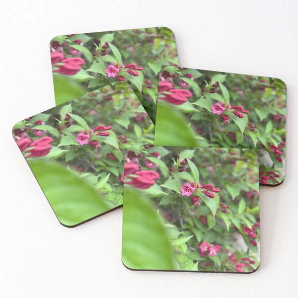 Item preview, Photo of a flower  designed and sold by 1Robbie1.
