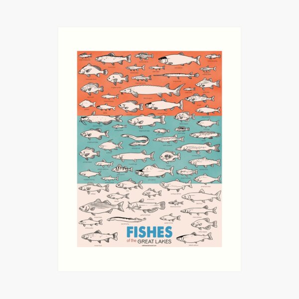 Fishes of the Great Lakes Art Print