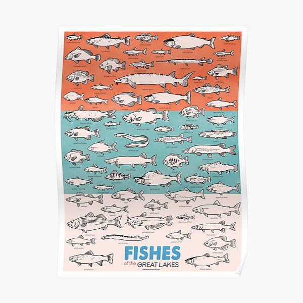 Fishes of the Great Lakes Poster