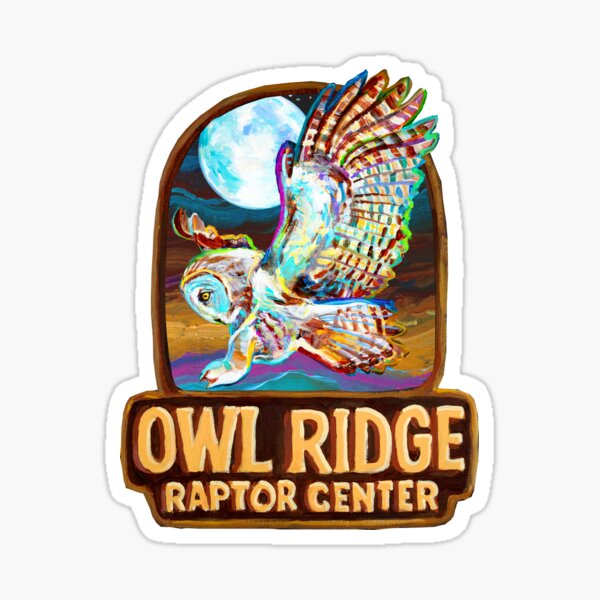 Item preview, Owl Ridge Raptor Center Barn Owl Sticker designed and sold by OwlRidgeRaptor.