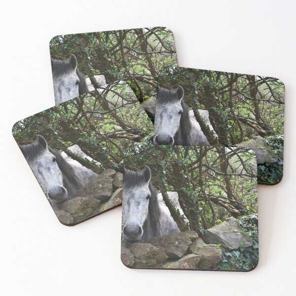 Item preview, Horse of Galway designed and sold by jenndes.