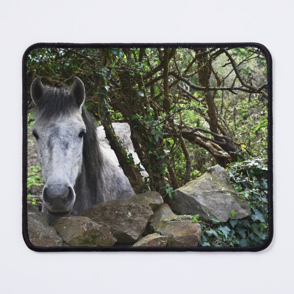 Item preview, Horse of Galway designed and sold by jenndes.