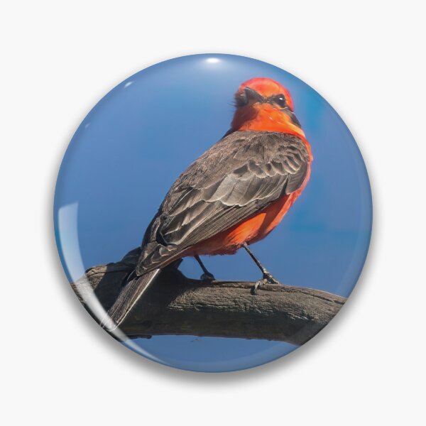 Item preview, Vermillion Flycatcher designed and sold by CarolM.