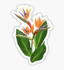 Pegatina Ave del paraíso flor