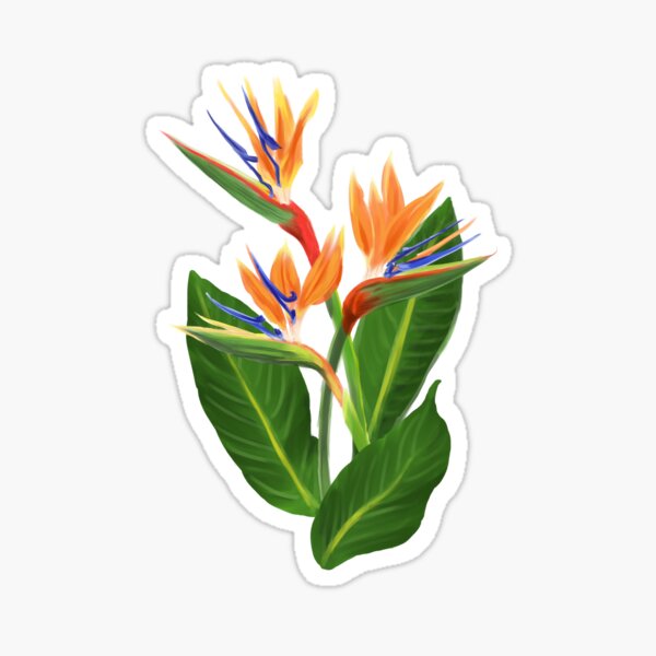 Bird of Paradise Flower Sticker