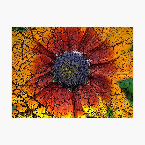 Item preview, A Macro Crackle designed and sold by Larry Davis.