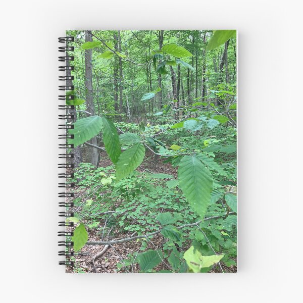 Item preview, In the Forest  designed and sold by Amanda1775.