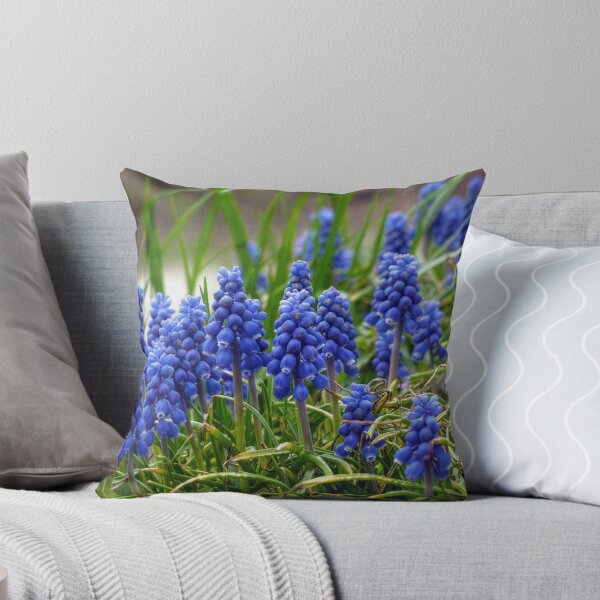 Item preview, Grape Hyacinth  designed and sold by Frankie Cat Photography.