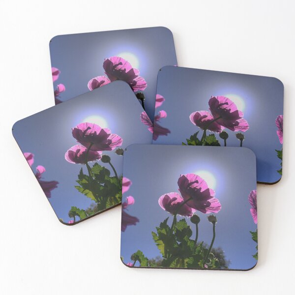 Item preview, Poppies into the Sun ( 1 )  designed and sold by Larry Davis.