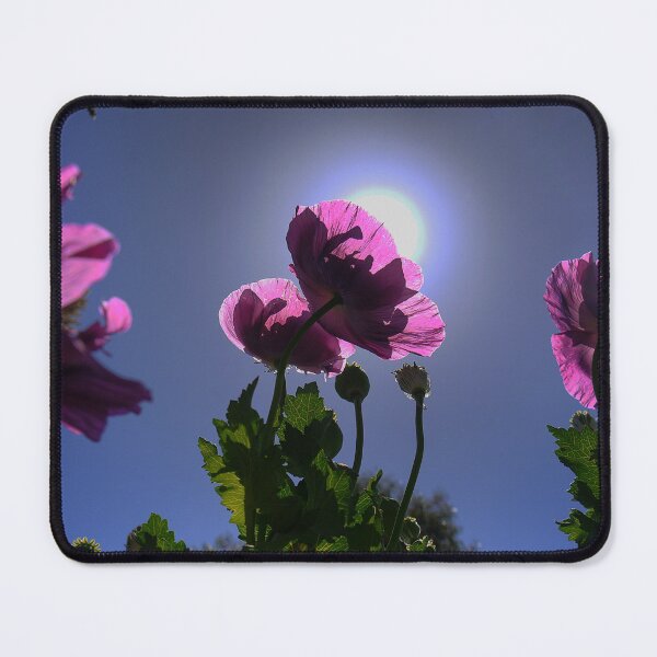 Item preview, Poppies into the Sun ( 1 ) designed and sold by Larry Davis.