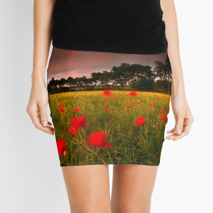Item preview, Mini Skirt designed and sold by tontoshorse.