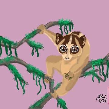Artwork thumbnail, LORIS by Rynkeolanui