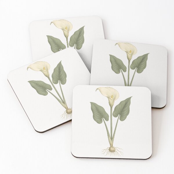 Item preview, Vintage Botanical Illustration of Calla Lily Plant designed and sold by ArtofBotany.