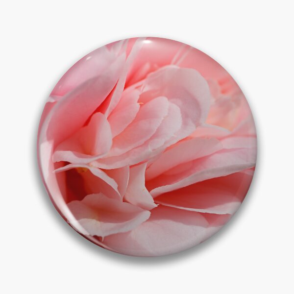 Item preview, Soft Close View Of Camellia  designed and sold by Joy Watson - Natural Light Photography .