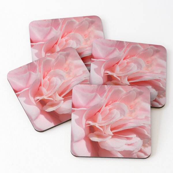 Item preview, Soft Close View Of Camellia  designed and sold by Joy Watson - Natural Light Photography .
