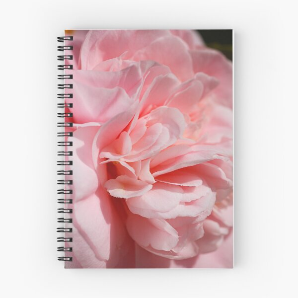 Item preview, Soft Close View Of Camellia  designed and sold by Joy Watson - Natural Light Photography .