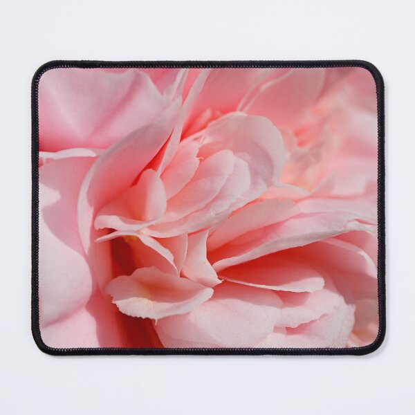Item preview, Soft Close View Of Camellia  designed and sold by Joy Watson - Natural Light Photography .