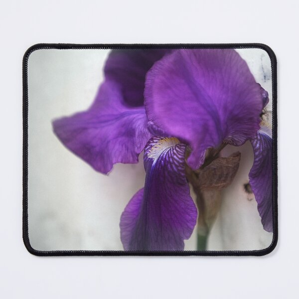 Item preview, Iris in the wind designed and sold by Rob Beckett.