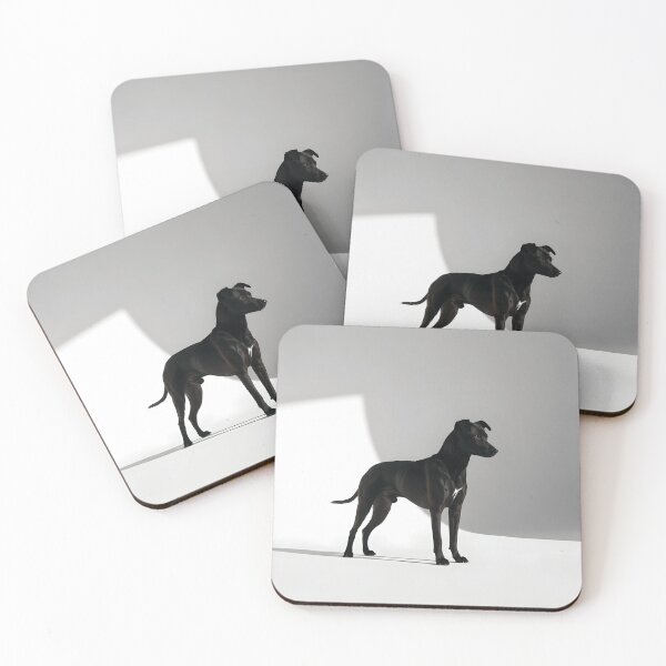 Item preview, Paws bathe in pools of daylight designed and sold by Marcu Ioachim.