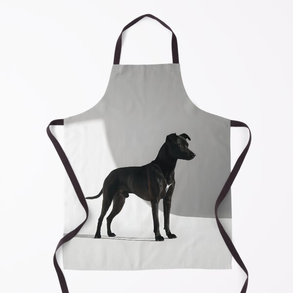 Item preview, Paws bathe in pools of daylight designed and sold by Marcu Ioachim.