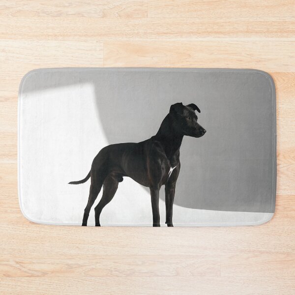 Item preview, Paws bathe in pools of daylight designed and sold by Marcu Ioachim.