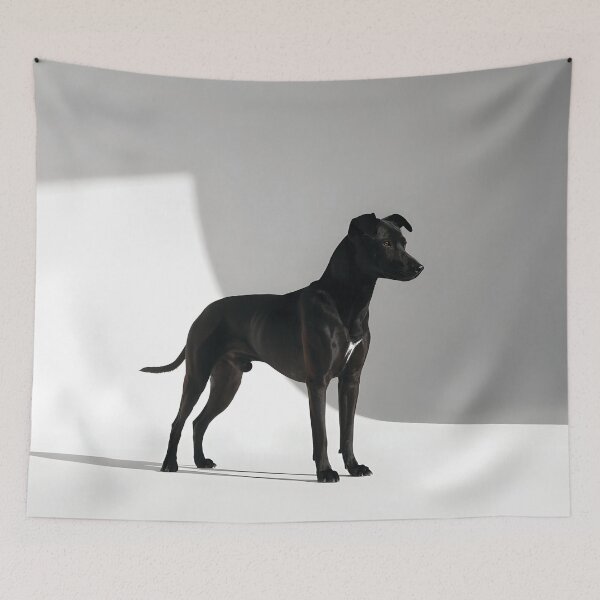 Item preview, Paws bathe in pools of daylight designed and sold by Marcu Ioachim.