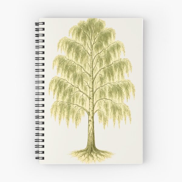 Item preview, Botanical Illustration of a Silver Birch Tree designed and sold by ArtofBotany.