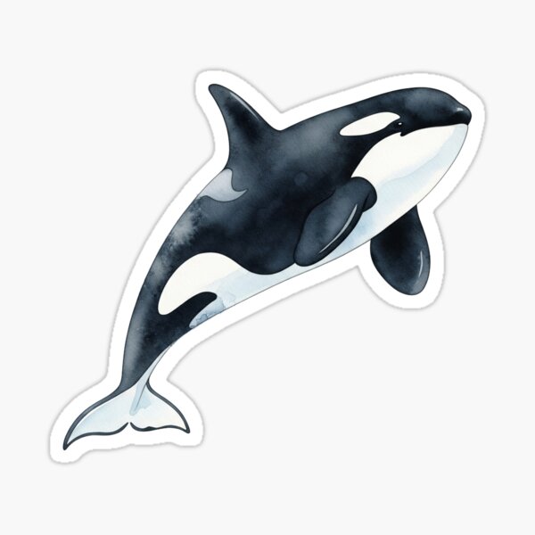 Item preview, Orca Design designed and sold by 4rtistcDrift.