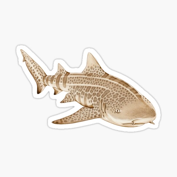 Item preview, Zebra Shark designed and sold by 4rtistcDrift.