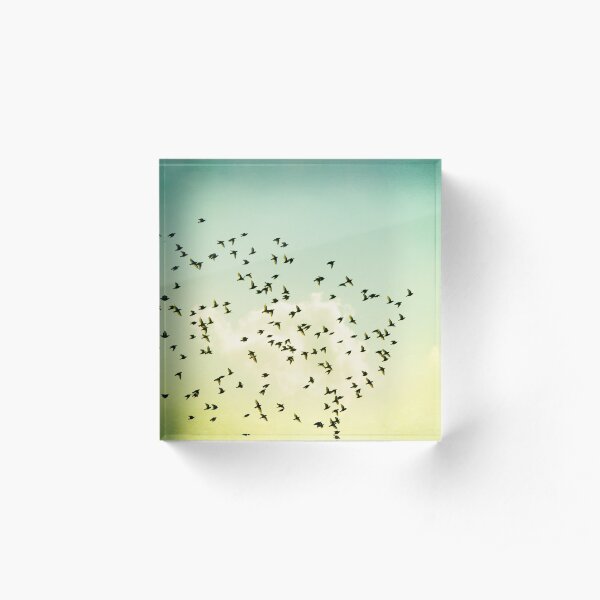 Birds Flying Photography, Birds Fly Sky, Mint Turquoise Yellow Acrylic Block