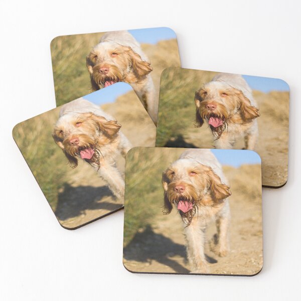 Item preview, Cute Spinone Wanderer by heidiannemorris © designed and sold by FOLK ART FUSION by heidiannemorris.