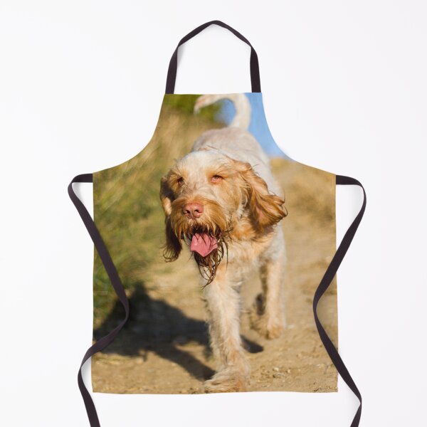 Item preview, Cute Spinone Wanderer by heidiannemorris © designed and sold by FOLK ART FUSION by heidiannemorris.