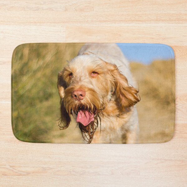Item preview, Cute Spinone Wanderer by heidiannemorris © designed and sold by FOLK ART FUSION by heidiannemorris.