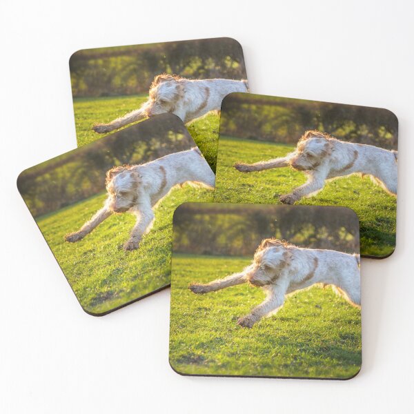Item preview, Cute Spinone Playing by heidiannemorris © designed and sold by FOLK ART FUSION by heidiannemorris.
