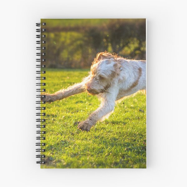 Item preview, Cute Spinone Playing by heidiannemorris © designed and sold by FOLK ART FUSION by heidiannemorris.